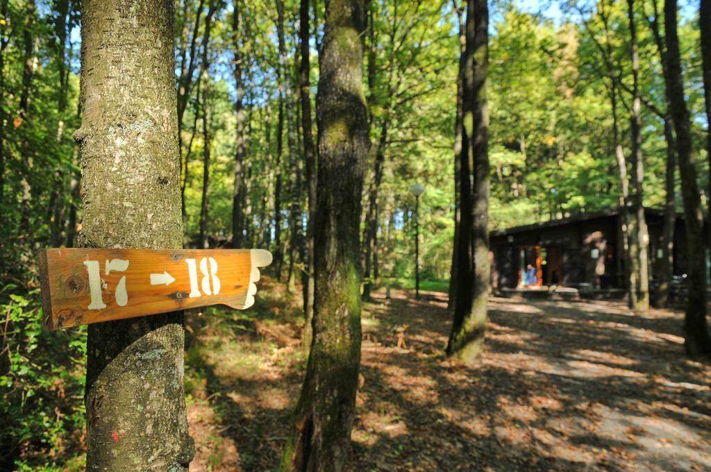 Village De Vacances D'Oignies Экстерьер фото